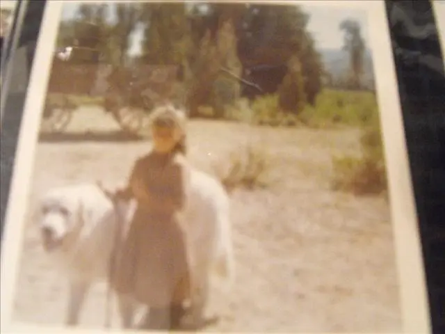 A Little Child With A White Dog