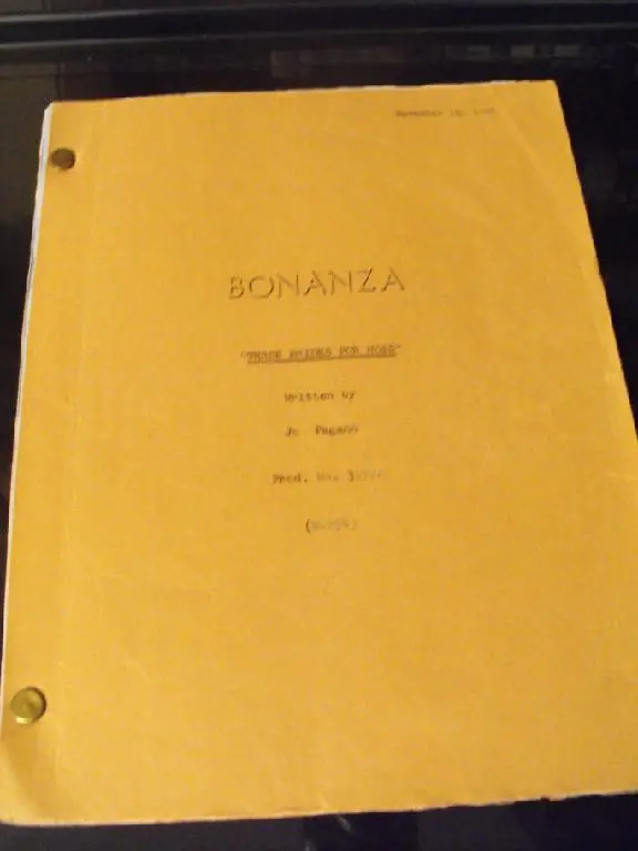 A Script Book Of The Bonanza Team