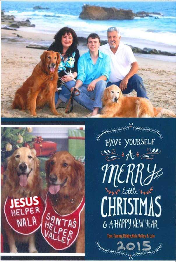 Merry Christmas And New Year Wishes For Tammy Family