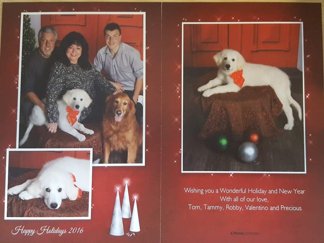 Wishes From Tammy, Tom, Robby, Valentino And Precious