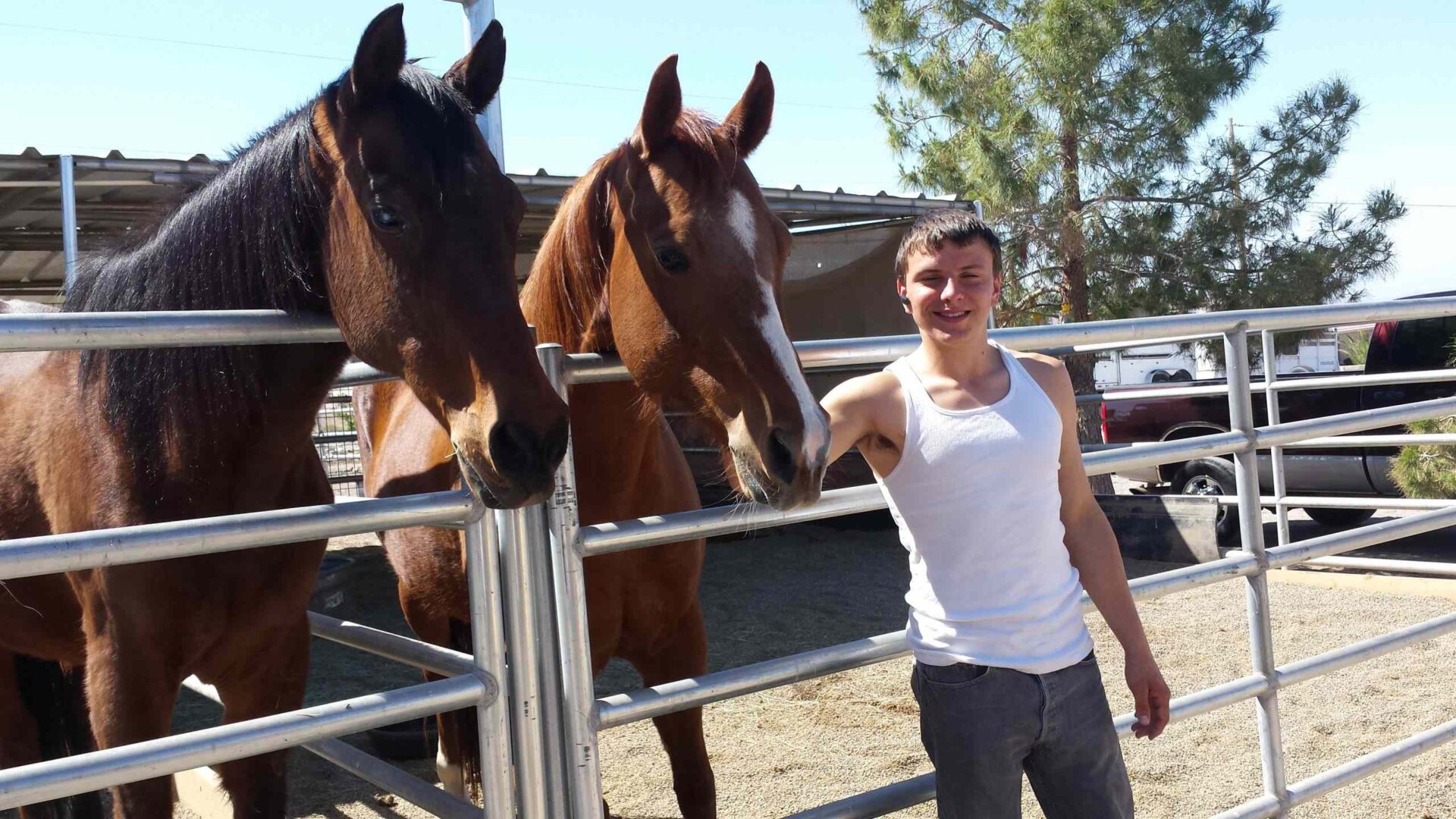 Robert With Two Horses